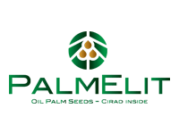 Logo Palmelit